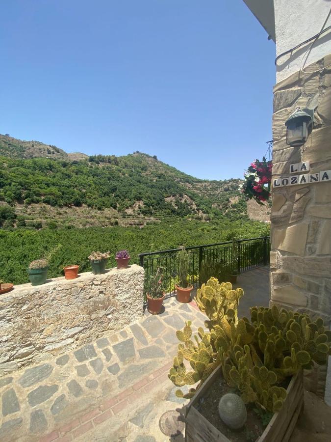La Lozana - Rio Apartment *